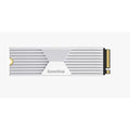 GameStop NVMe SSD Card 2TB with Heatsink for PlayStation 5 | PC
